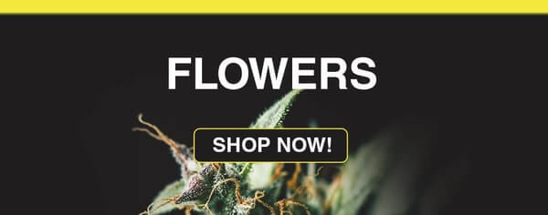 Buy Cannabis online